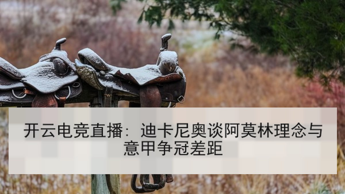 开云电竞直播: 迪卡尼奥谈阿莫林理念与意甲争冠差距 开云电竞直播: 迪卡尼奥谈阿莫林理念与意甲争冠差距