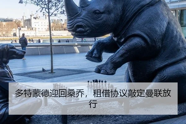 duo-te-meng-de-ying-hui-sang-qiao-zu-jie-xie-yi-qiao-ding-man-lian-fang-xing-2-549.jpg