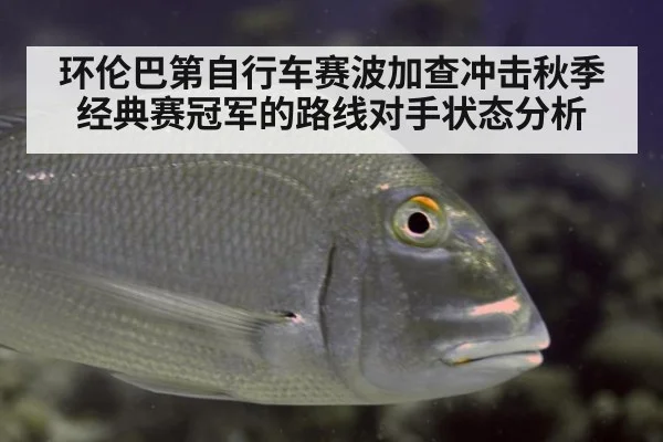 环伦巴第自行车赛波加查冲击秋季经典赛冠军的路线对手状态分析